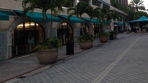 Commercial Property in Coconut Grove, Florida